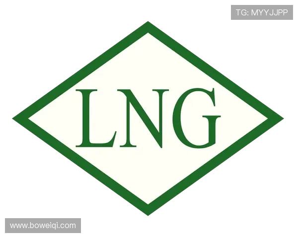 LNG在冠军杯中的耐力表现分析与战术探讨